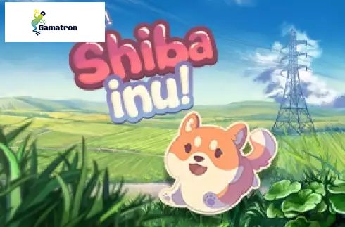 Shiba Inu